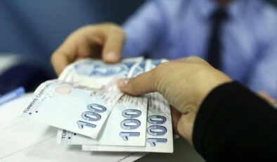 Türkiye Aile Destek Programı ödemeleri hesaplara yatmaya başladı