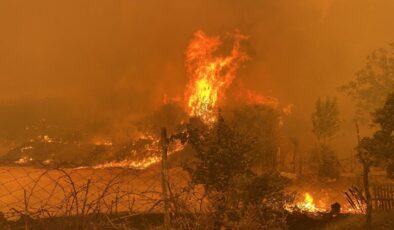 Çanakkale’de orman yangını durdurulamıyor