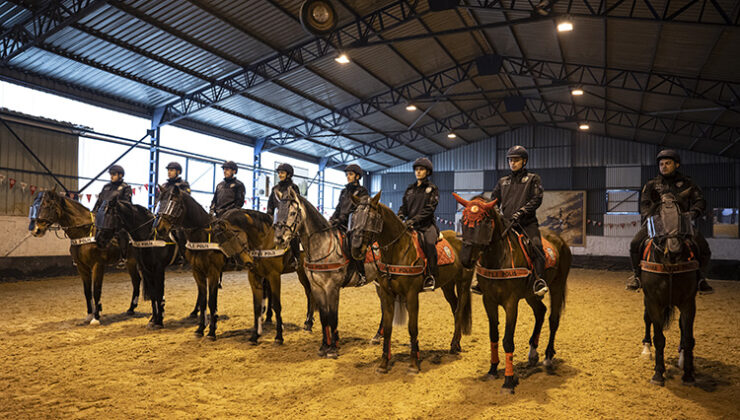 Türkiye’nin birçok ilinde görev yapan atlı polisler, zorlu eğitim aşamalarını tamamlayarak göreve hazır hale geliyor