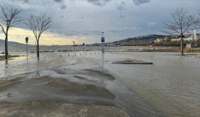 Kocaeli’nde kuvvetli rüzgar nedeniyle deniz taştı, ağaçlar devrildi