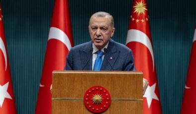 Erdoğan: Yakala-kısırlaştır çözüm olmadı