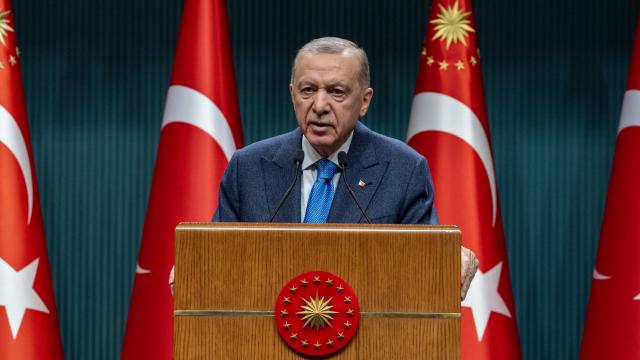 Erdoğan: Yakala-kısırlaştır çözüm olmadı