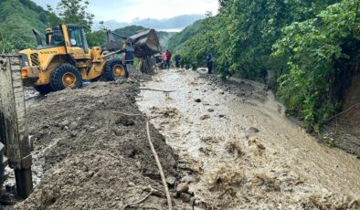 Ordu ve Muş’ta sel can aldı