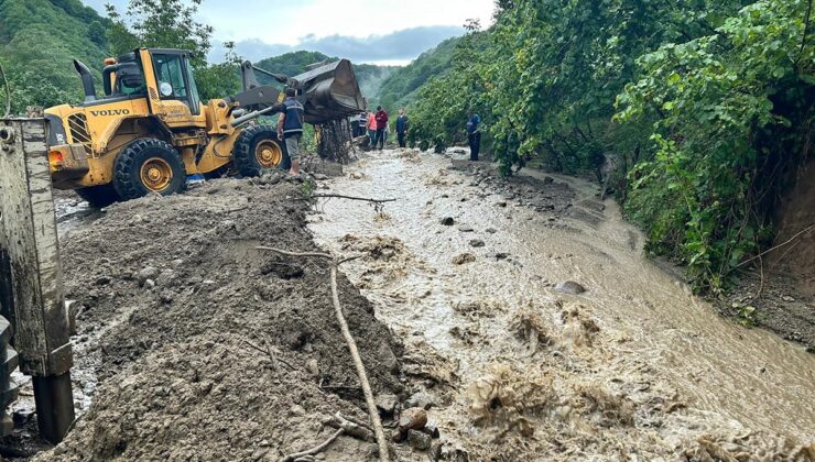 Ordu ve Muş’ta sel can aldı