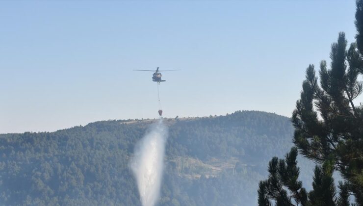 Afyon’daki ormanlarda yanıyor!