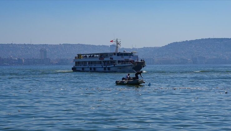 İzmir Körfezi’nde balık ölümleri sürüyor