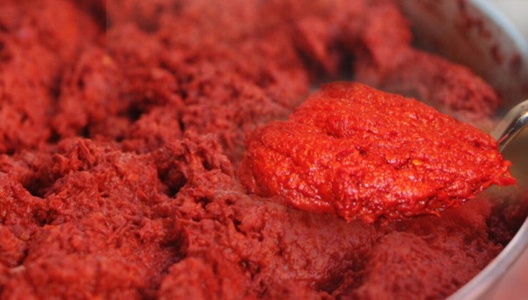 Salça üretimde skandal görüntüler