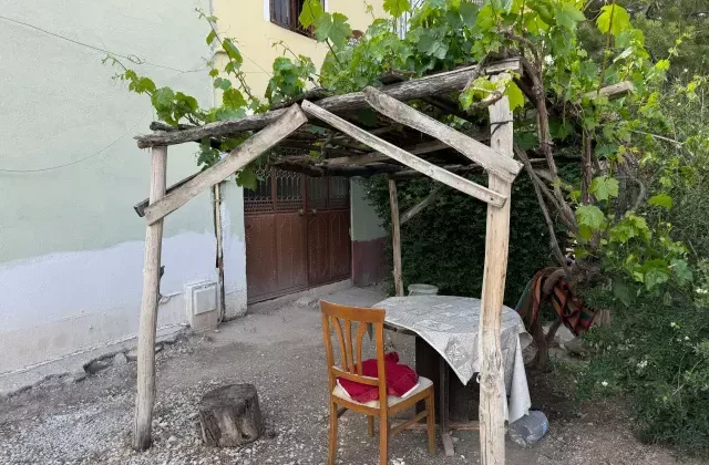 Konya’da Asma Ağacının Altında Terk Edilen 10 Günlük Bebek Bulundu!