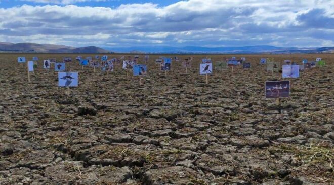 “Kuruyan Hayatlar”: Kuşların Sessizliği ve Anadolu’nun Kaybolan Su Mirası…