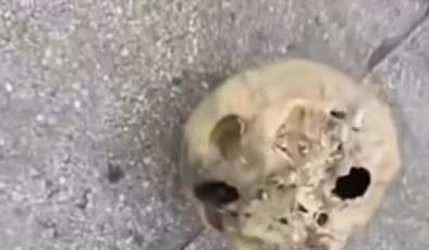 Denizde Korkunç Sır Perdesi! İzmir Sahilinde Amatör Balıkçının Oltasına İnsan Kafatası Takıldı: Kayıp Cesedin Parçaları Aranıyor!