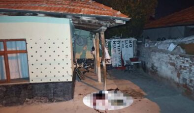 📰 Dehşete Düşüren Aile Dramı: 16 Yaşındaki Çocuk, Şiddet Uygulayan Babasını Öldürdü!