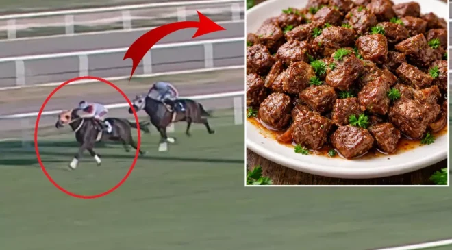 Hipodromdan Tencereye Vahşi Döngü: “Smart Latch”i Önce Koşturdular, Sonra Kavurma Yaptılar!