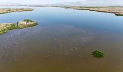Türkiye’nin Kaybolan Gölünde Büyük Dönüş: Akşehir Yeniden Nefes Aldı!