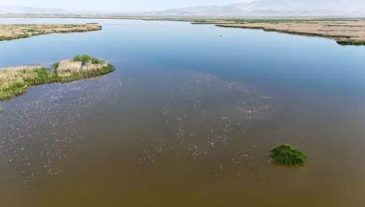 Türkiye’nin Kaybolan Gölünde Büyük Dönüş: Akşehir Yeniden Nefes Aldı!