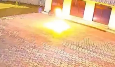 Hindistan’da Akılalmaz Ölüm: Maymun Kovalamak İsterken Elektrik Akımına Kapıldı!