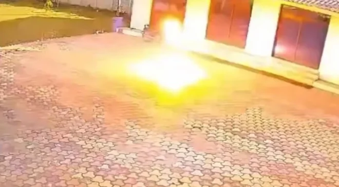 Hindistan’da Akılalmaz Ölüm: Maymun Kovalamak İsterken Elektrik Akımına Kapıldı!