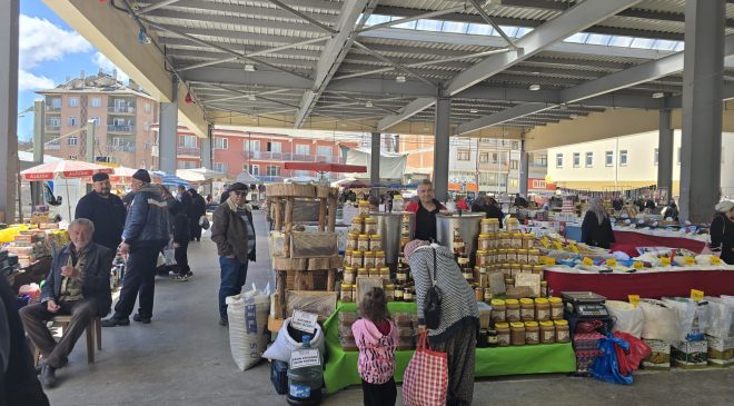BOZKIRIN ALTIN ŞİFASI: İBRAHİM TONTUL İLE ARININ BİLİNMEYEN DÜNYASI.