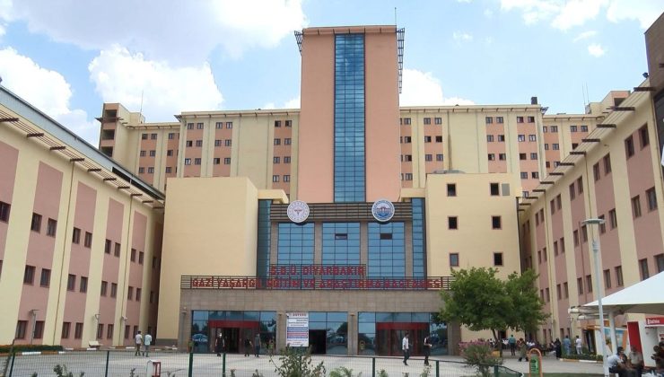 DİYARBAKIR ERGANİ’DEN ACI HABER: OKUL BAHÇESİNDE YILDIRIM DEHŞETİ!