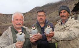 Oltu Dağlarında “Kınalı” Takip: 350 Keklik Bilim Adına Halkalandı