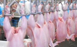 SURİYE’DEN TÜRK GIDASINA AMBARGO: 20 ÜRÜNE SÜRESİZ YASAK GELDİ!