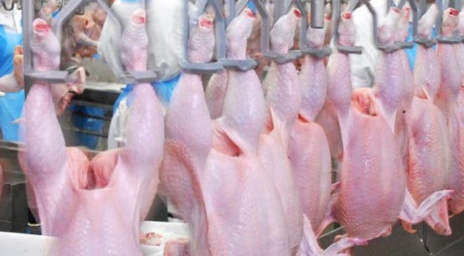 SURİYE’DEN TÜRK GIDASINA AMBARGO: 20 ÜRÜNE SÜRESİZ YASAK GELDİ!