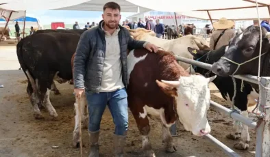 ANADOLU’DA REKOR SATIŞ: KIRŞEHİR’DE 830 KİLOLUK DEV TOSUN 300 BİN TL’YE ALICI BULDU! FİYATI ARABAYLA YARIŞIYOR!