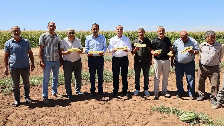 KONYA’DA 150 YILLIK MUCİZE: KİMYASALSIZ VE SUSUZ YETİŞEN SARI İÇLİ ‘TATAR KARPUZU’ İÇİN TESCİL ALARMI!