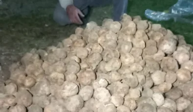 KONYA’DA YER ALTI DEFİNESİ: TOPRAĞI KAZIP GÜNLÜK 60 BİN TL KAZANIYOR!