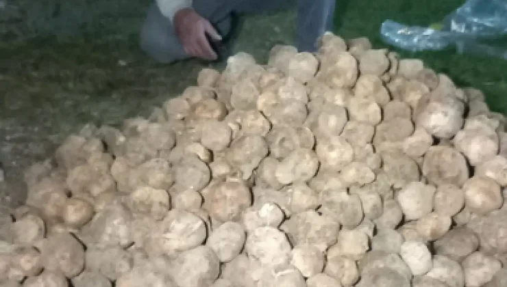 KONYA’DA YER ALTI DEFİNESİ: TOPRAĞI KAZIP GÜNLÜK 60 BİN TL KAZANIYOR!