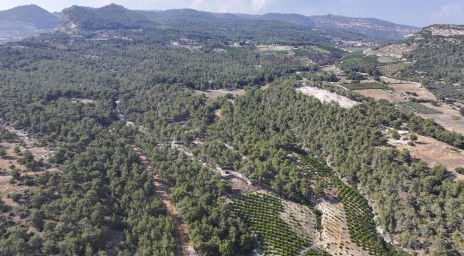 MERSİN’DE ORMANLARA GİRİŞ YASAĞI BAŞLADI: KURALLARA UYMAYANA ACIMAYACAKLAR!