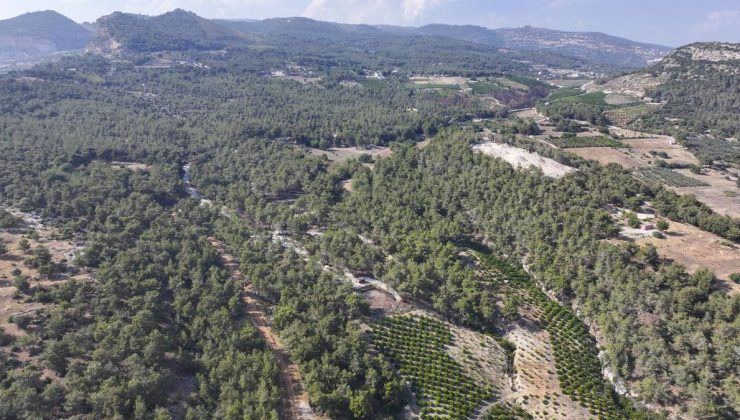MERSİN’DE ORMANLARA GİRİŞ YASAĞI BAŞLADI: KURALLARA UYMAYANA ACIMAYACAKLAR!