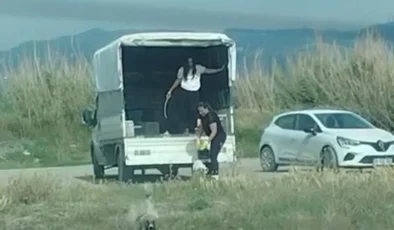 KORUMA ALTINDAKİ KUŞ CENNETİNE KAMYONETLE KÖPEK ORDUSU SAKLADILAR!