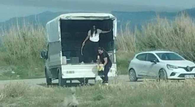 KORUMA ALTINDAKİ KUŞ CENNETİNE KAMYONETLE KÖPEK ORDUSU SAKLADILAR!