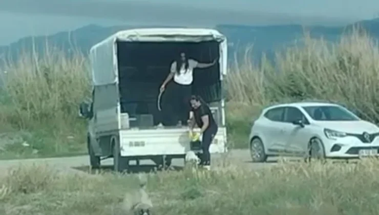 KORUMA ALTINDAKİ KUŞ CENNETİNE KAMYONETLE KÖPEK ORDUSU SAKLADILAR!