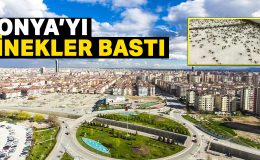 KONYA’DA SİNEK KABUSU: VATANDAŞLAR BELEDİYELERDEN ACİL İLAÇLAMA BEKLİYOR!
