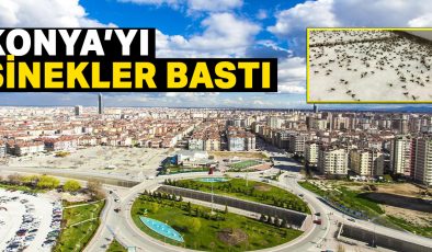 KONYA’DA SİNEK KABUSU: VATANDAŞLAR BELEDİYELERDEN ACİL İLAÇLAMA BEKLİYOR!