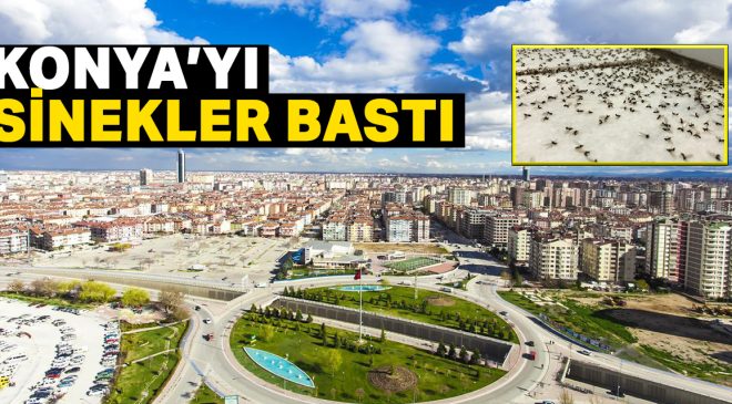KONYA’DA SİNEK KABUSU: VATANDAŞLAR BELEDİYELERDEN ACİL İLAÇLAMA BEKLİYOR!