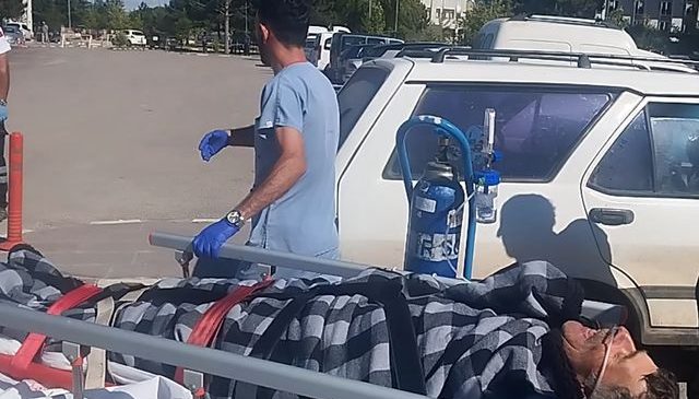 Sivas’ta Doğal Hayat Dehşeti: Ayının Saldırısına Uğrayan Çobanı Sadık Kangal Köpekleri Ölümden Kurtardı!