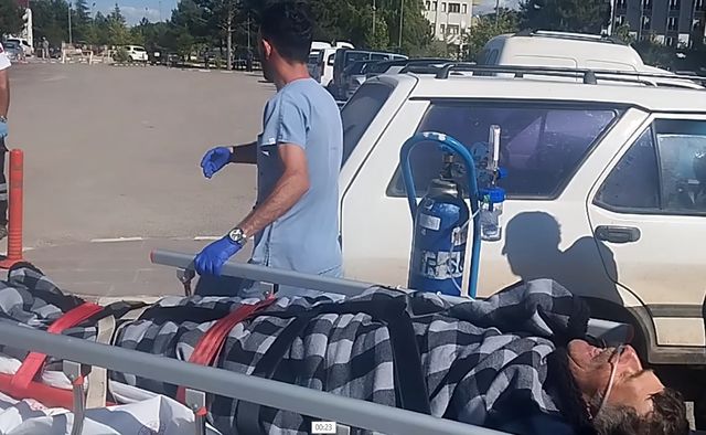 Sivas’ta Doğal Hayat Dehşeti: Ayının Saldırısına Uğrayan Çobanı Sadık Kangal Köpekleri Ölümden Kurtardı!
