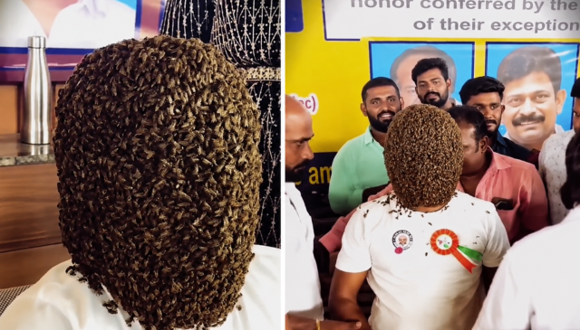 Binlerce Arı Yüzünü Kapladı! 5 Saat Boyunca Kıpırdamadan Bekledi