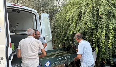 Cezaevinden İzinli Çıkan Şahıs Evinin Merdiveninde Ölü Bulundu!