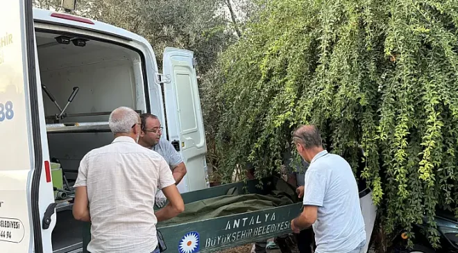 Cezaevinden İzinli Çıkan Şahıs Evinin Merdiveninde Ölü Bulundu!