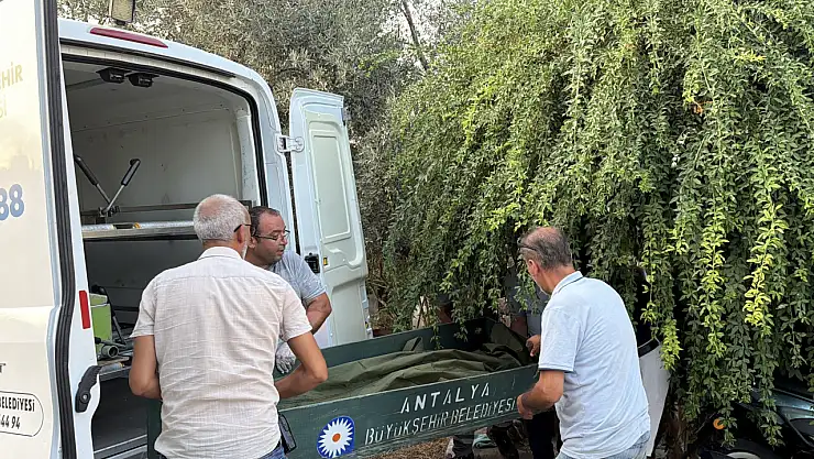 Cezaevinden İzinli Çıkan Şahıs Evinin Merdiveninde Ölü Bulundu!