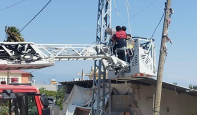 Elektrik Direğinde Erkek Cesedi Bulundu! 50 Yaşındaki Adam İntihar Etti