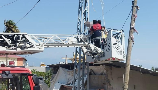 Elektrik Direğinde Erkek Cesedi Bulundu! 50 Yaşındaki Adam İntihar Etti