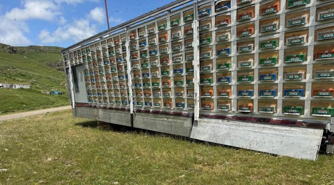 Türkiye’de Bir İlk! Karslı Arıcı Tır Dorsesini Mobil Bal Fabrikasına Dönüştürdü