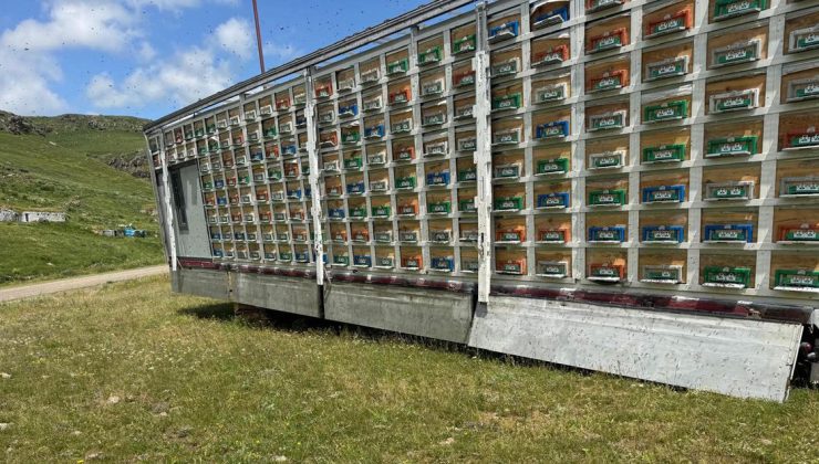 Türkiye’de Bir İlk! Karslı Arıcı Tır Dorsesini Mobil Bal Fabrikasına Dönüştürdü